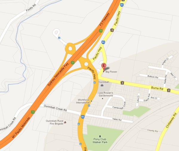 Big Flower Your Nursery Superstore